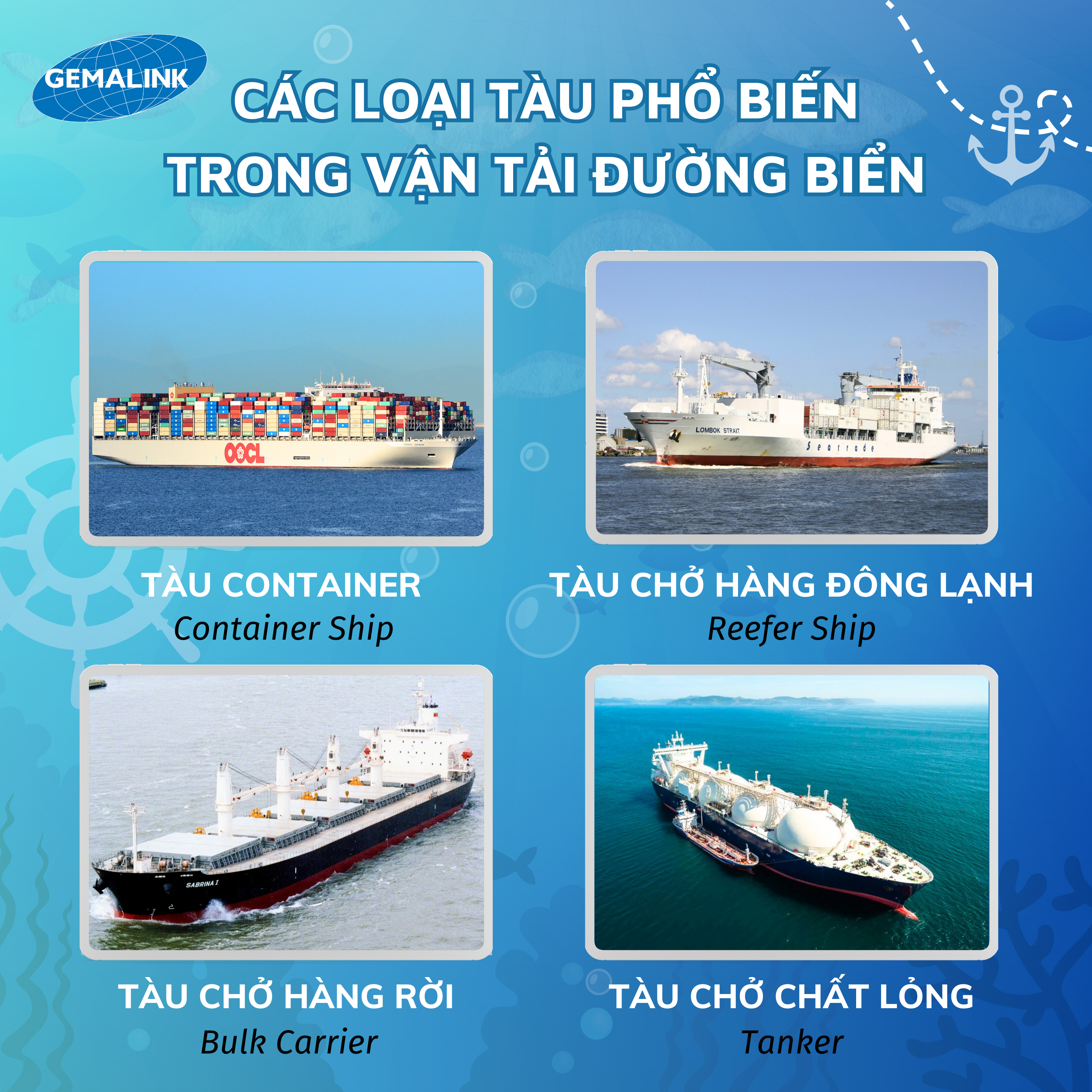 CÁC LOẠI TÀU PHỔ BIẾN TRONG VẬN TẢI ĐƯỜNG BIỂN